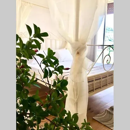 Apartment Splendido Vista Mare